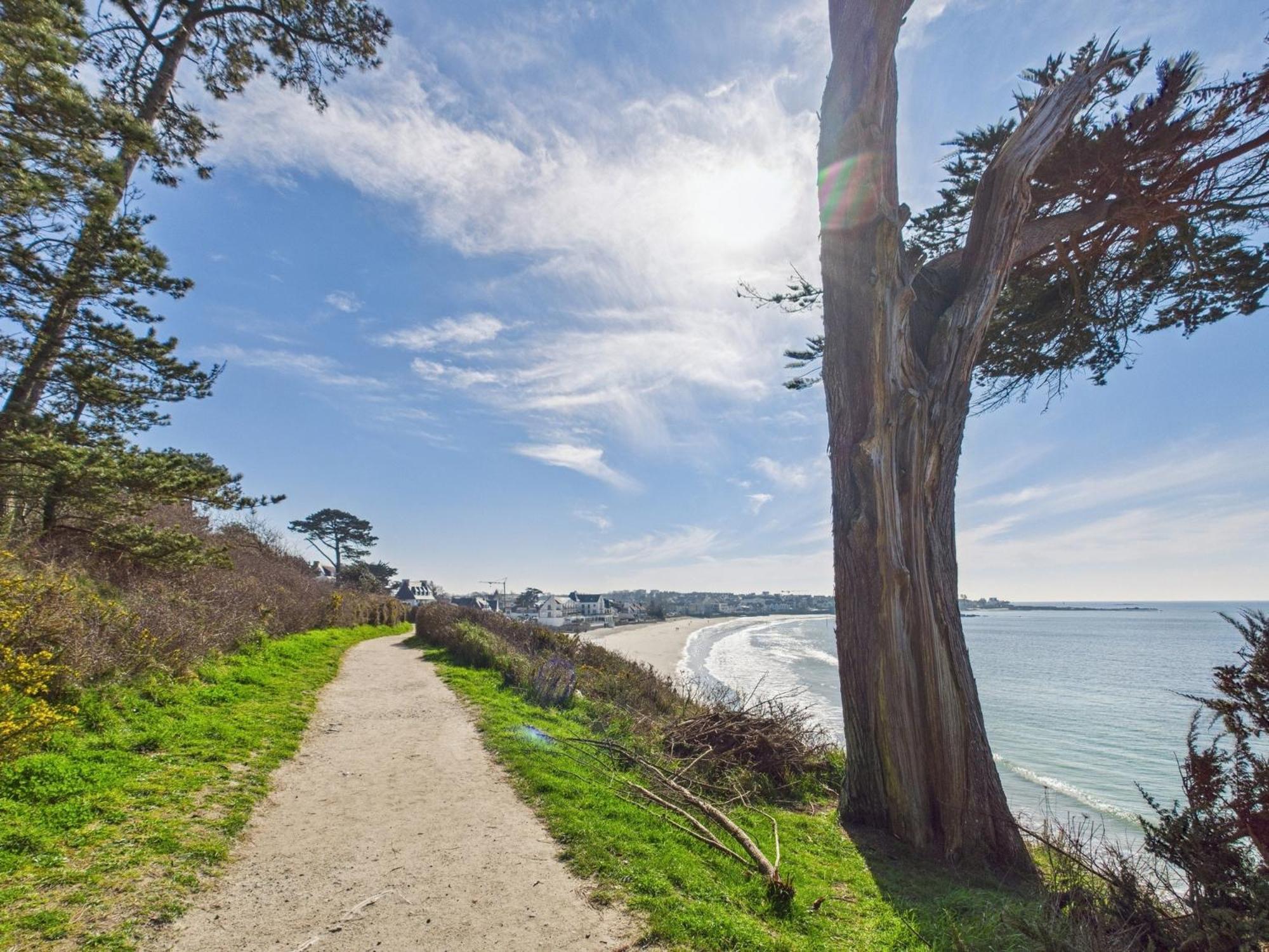 -Le Sentier- Elegant T3 Avec Jardin Proche Mer Concarneau Esterno foto